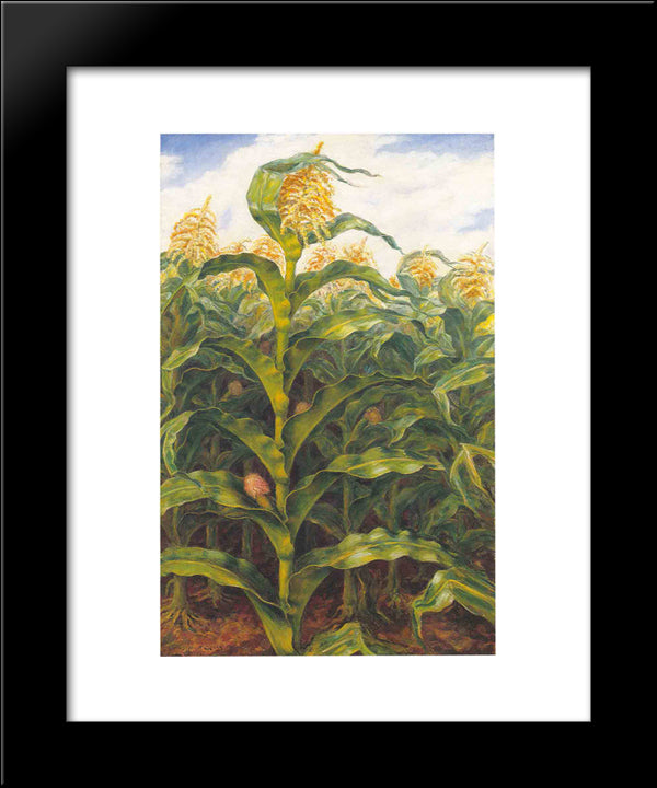 Kansas Cornfield 20x24 Black Modern Wood Framed Art Print Poster by Steuart Curry, John