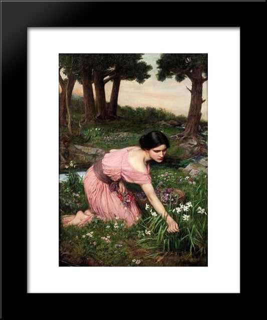 Spring Spreads One Green Lap Of Flowers 20x24 Black Modern Wood Framed Art Print Poster by Waterhouse, John William