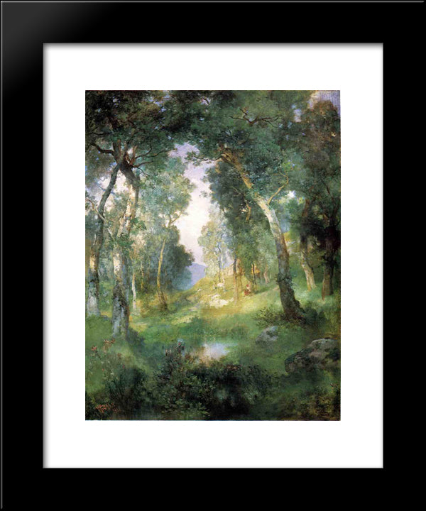Forest Glade, Santa Barbara 20x24 Black Modern Wood Framed Art Print Poster by Stewart, Julius LeBlanc