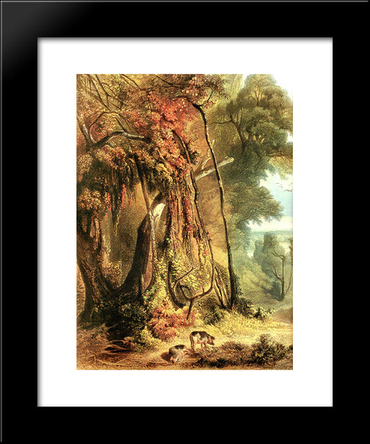 Along The Wabash [ Left ] 20x24 Black Modern Wood Framed Art Print Poster by Bodmer, Karl