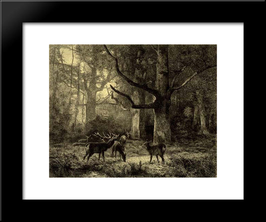 Forest Of Fontainbleau 20x24 Black Modern Wood Framed Art Print Poster by Bodmer, Karl