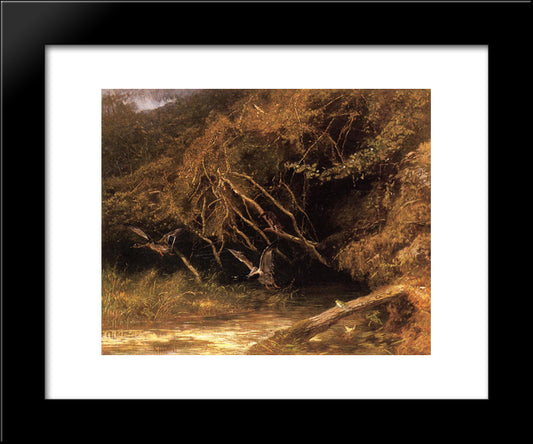 Forest With Ducks And Frogs 20x24 Black Modern Wood Framed Art Print Poster by Bodmer, Karl