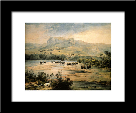 Landscape With Buffalo On The Upper Missouri 20x24 Black Modern Wood Framed Art Print Poster by Bodmer, Karl
