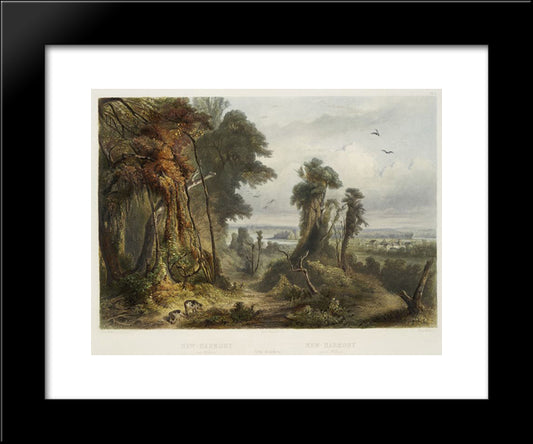 New Harmony On The Wabash, Plate 2 From Volume 2 Of 'Travels In The Interior Of North America' 20x24 Black Modern Wood Framed Art Print Poster by Bodmer, Karl