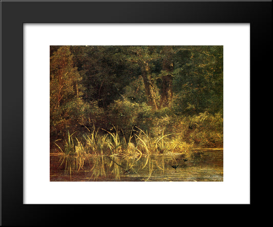 River Scene With Barn Swallows 20x24 Black Modern Wood Framed Art Print Poster by Bodmer, Karl