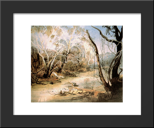 The Fox River Near New Harmony In Indiana 20x24 Black Modern Wood Framed Art Print Poster by Bodmer, Karl