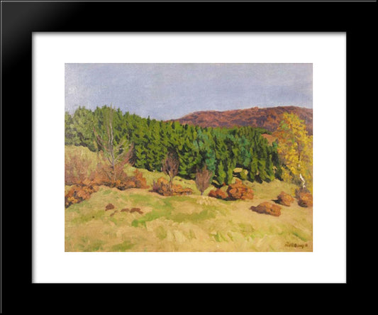 Izvora In Autumn 20x24 Black Modern Wood Framed Art Print Poster by Ferenczy, Karoly