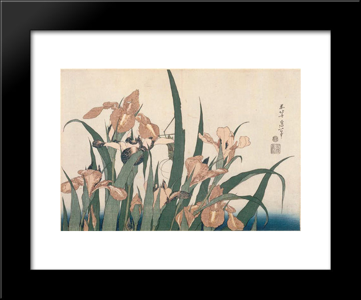 Irises And Grasshopper 20x24 Black Modern Wood Framed Art Print Poster by Hokusai, Katsushika