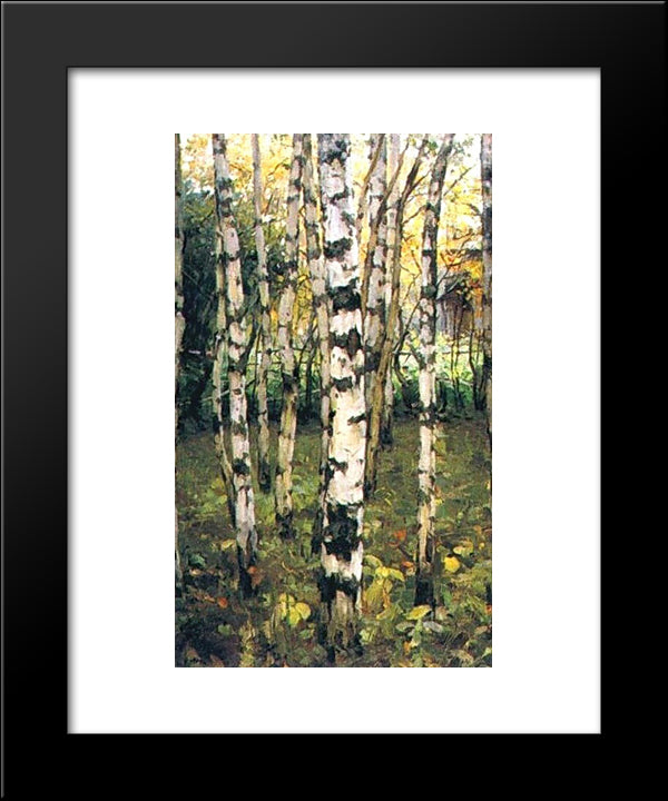 Birches. Petrovskoye 20x24 Black Modern Wood Framed Art Print Poster by Yuon, Konstantin