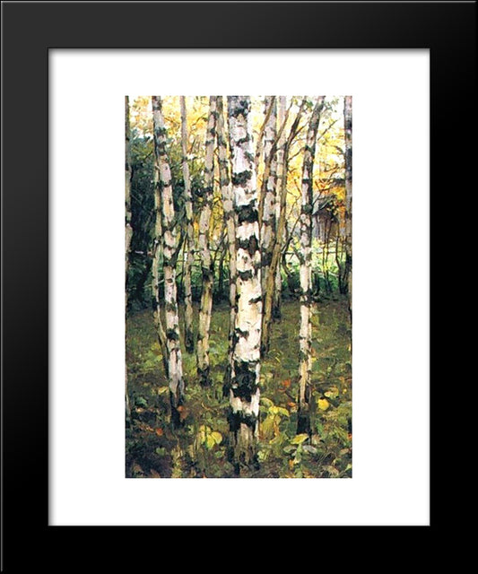 Birches. Petrovskoye 20x24 Black Modern Wood Framed Art Print Poster by Yuon, Konstantin