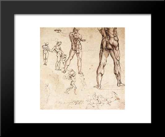 Anatomical Studies 20x24 Black Modern Wood Framed Art Print Poster by da Vinci, Leonardo