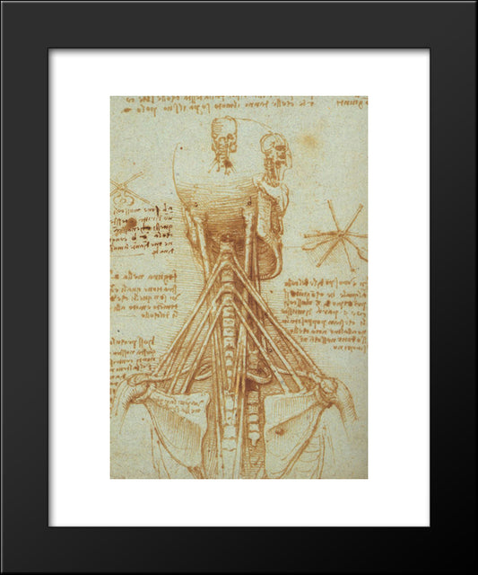 Anatomy Of The Neck 20x24 Black Modern Wood Framed Art Print Poster by da Vinci, Leonardo