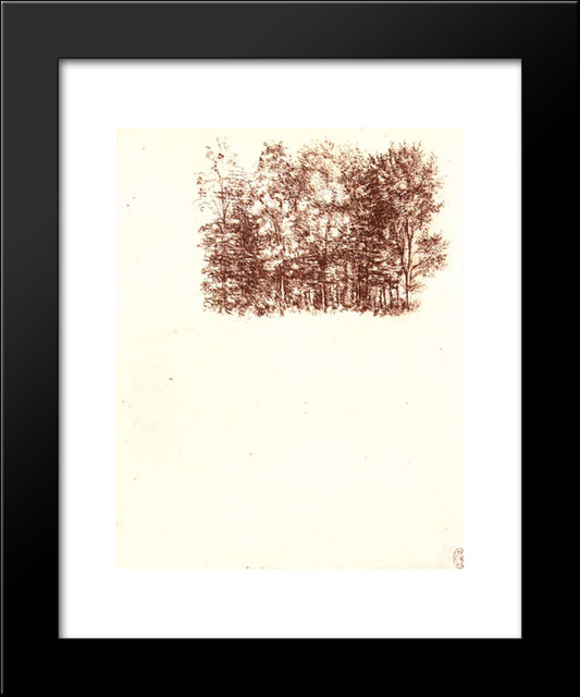 Birch Copse 20x24 Black Modern Wood Framed Art Print Poster by da Vinci, Leonardo