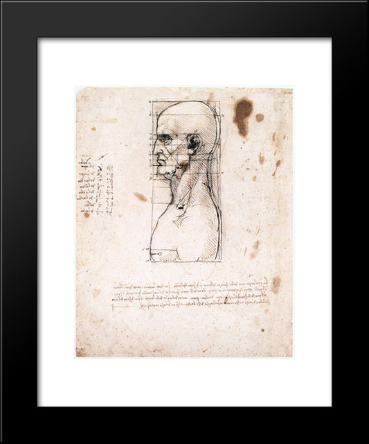 Bust Of A Man In Profile With Measurements And Notes 20x24 Black Modern Wood Framed Art Print Poster by da Vinci, Leonardo