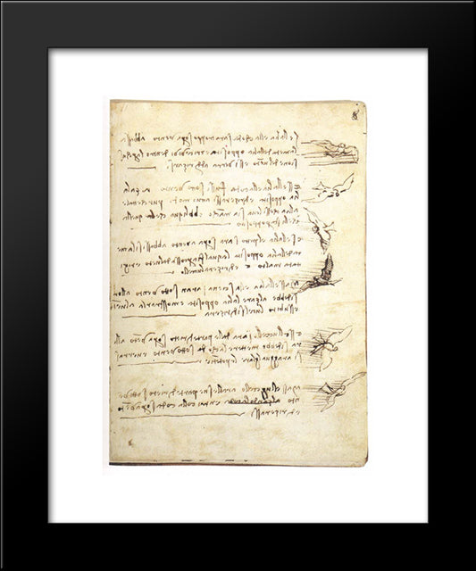 Codex On The Flight Of Birds 20x24 Black Modern Wood Framed Art Print Poster by da Vinci, Leonardo