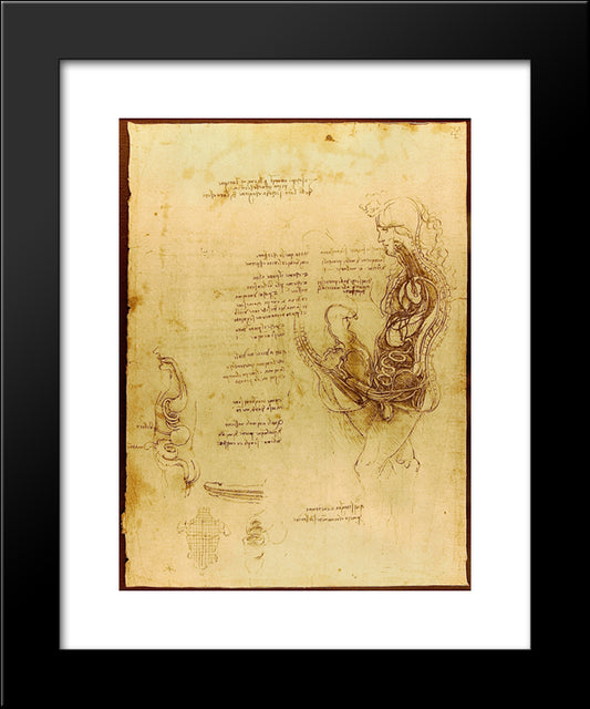 Coition Of A Hemisected Man And Woman 20x24 Black Modern Wood Framed Art Print Poster by da Vinci, Leonardo