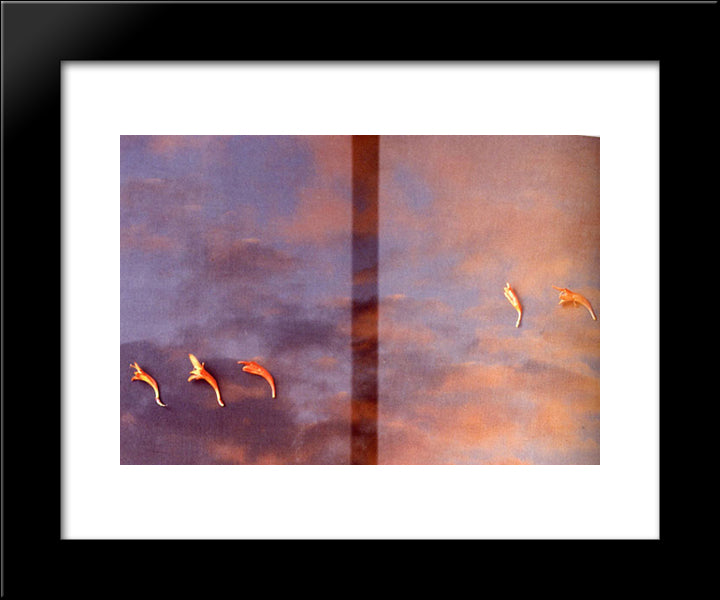 Untitled (35Mm Transparency) 20x24 Black Modern Wood Framed Art Print Poster by Yuan Chia, Li