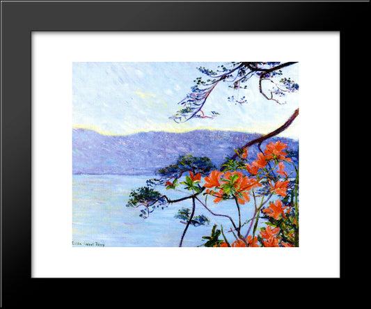 Suruga Bay, Azaleas 20x24 Black Modern Wood Framed Art Print Poster by Cabot Perry, Lilla