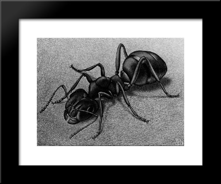 Ant 20x24 Black Modern Wood Framed Art Print Poster by Escher, M.C.