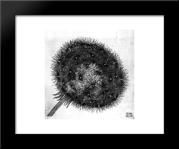 Blowball I 20x24 Black Modern Wood Framed Art Print Poster by Escher, M.C.