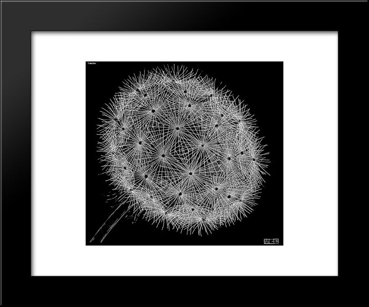 Blowball Ii 20x24 Black Modern Wood Framed Art Print Poster by Escher, M.C.