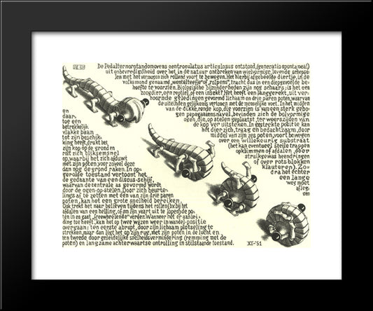 Curl Up 20x24 Black Modern Wood Framed Art Print Poster by Escher, M.C.