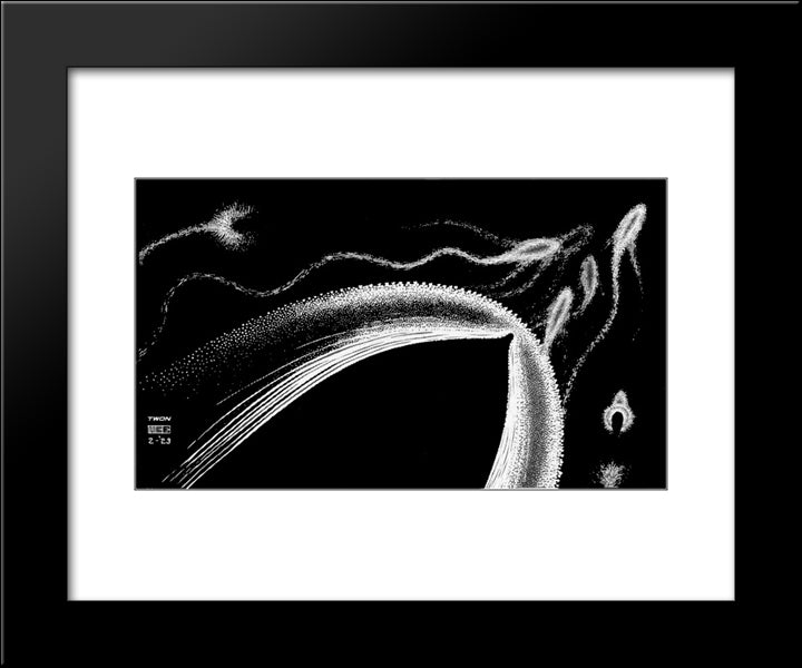 Dolphins 20x24 Black Modern Wood Framed Art Print Poster by Escher, M.C.