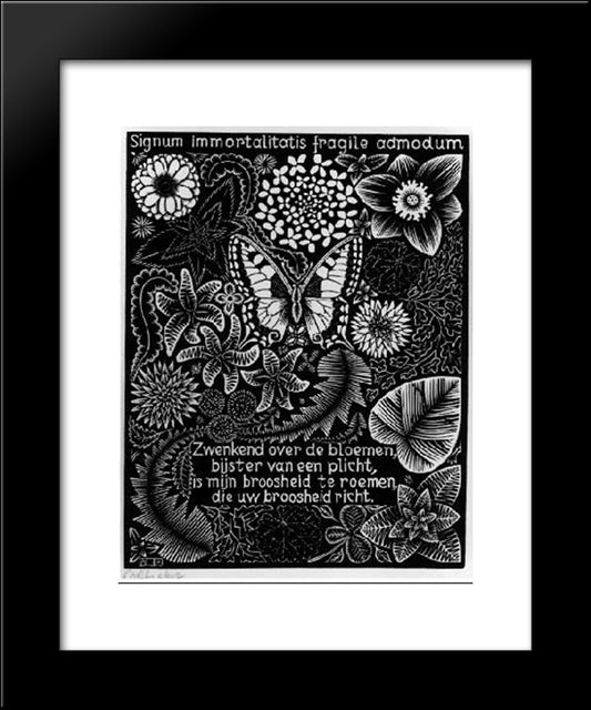 Emblemata - Butterfly 20x24 Black Modern Wood Framed Art Print Poster by Escher, M.C.