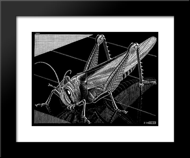 Grasshopper 20x24 Black Modern Wood Framed Art Print Poster by Escher, M.C.
