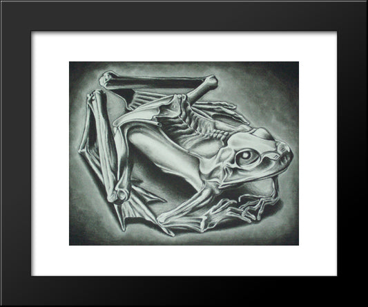 Mumified Frog 20x24 Black Modern Wood Framed Art Print Poster by Escher, M.C.