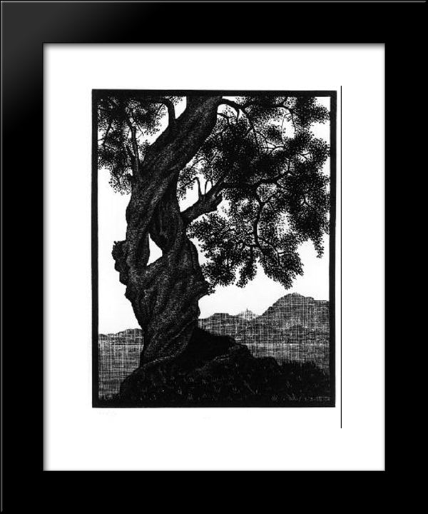 Old Olive Tree, Corsica 20x24 Black Modern Wood Framed Art Print Poster by Escher, M.C.