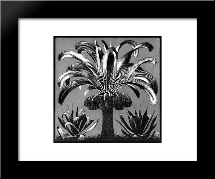 Palm 20x24 Black Modern Wood Framed Art Print Poster by Escher, M.C.