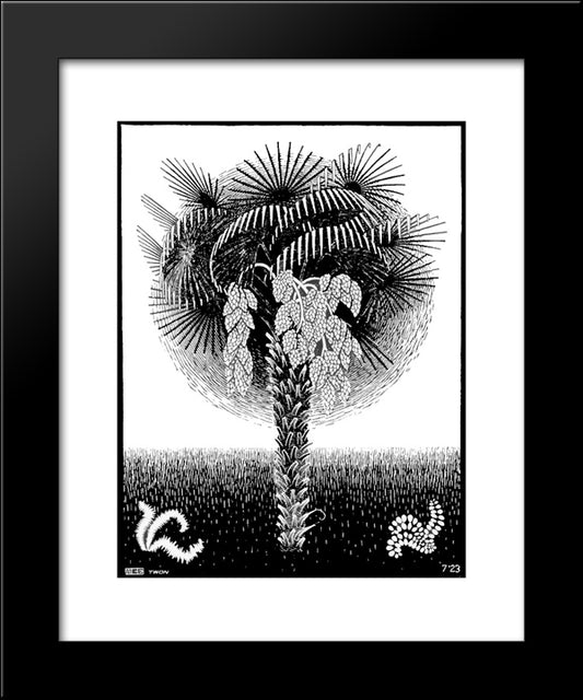 Palm Tree 20x24 Black Modern Wood Framed Art Print Poster by Escher, M.C.