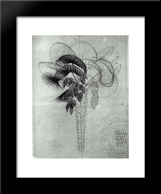 Palm Tree Sketch 20x24 Black Modern Wood Framed Art Print Poster by Escher, M.C.