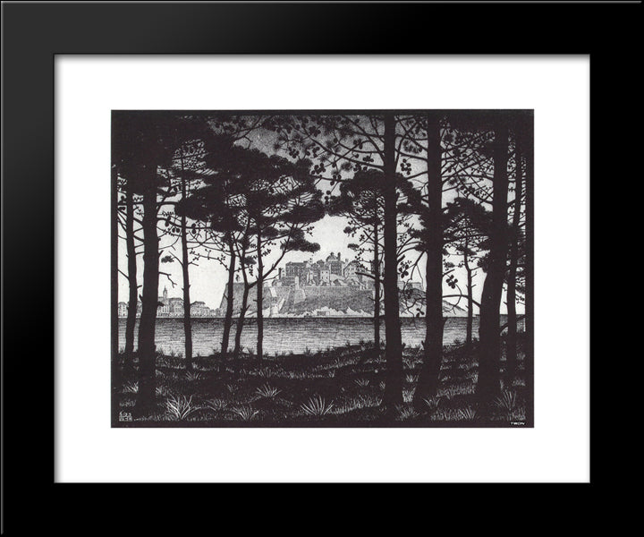 Pineta Of Calvi Corsica 20x24 Black Modern Wood Framed Art Print Poster by Escher, M.C.