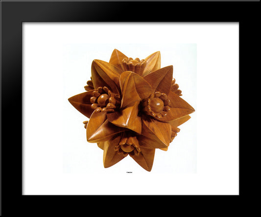 Polyhedron With Flowers 20x24 Black Modern Wood Framed Art Print Poster by Escher, M.C.