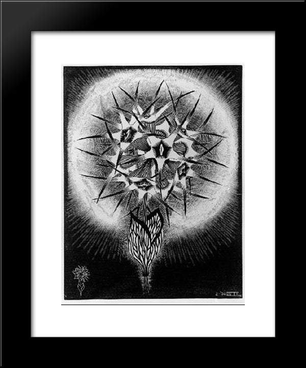 Prickly Flower 20x24 Black Modern Wood Framed Art Print Poster by Escher, M.C.