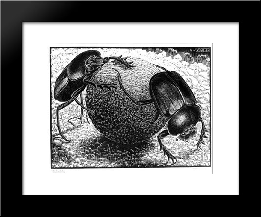 Scarabs 20x24 Black Modern Wood Framed Art Print Poster by Escher, M.C.