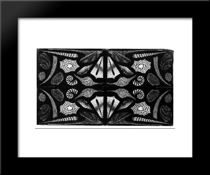 Sea Shells 20x24 Black Modern Wood Framed Art Print Poster by Escher, M.C.