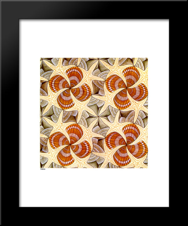 Shells And Starfish 20x24 Black Modern Wood Framed Art Print Poster by Escher, M.C.