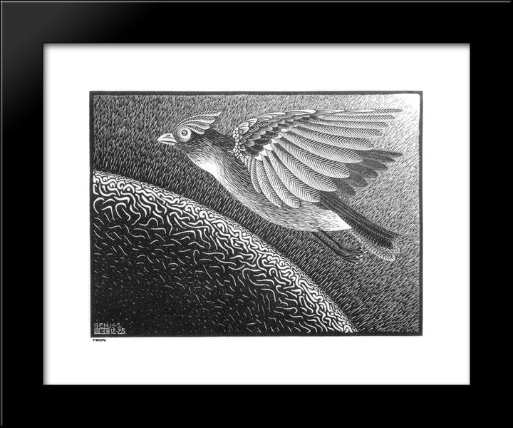 The 1St Day Of The Creation 20x24 Black Modern Wood Framed Art Print Poster by Escher, M.C.