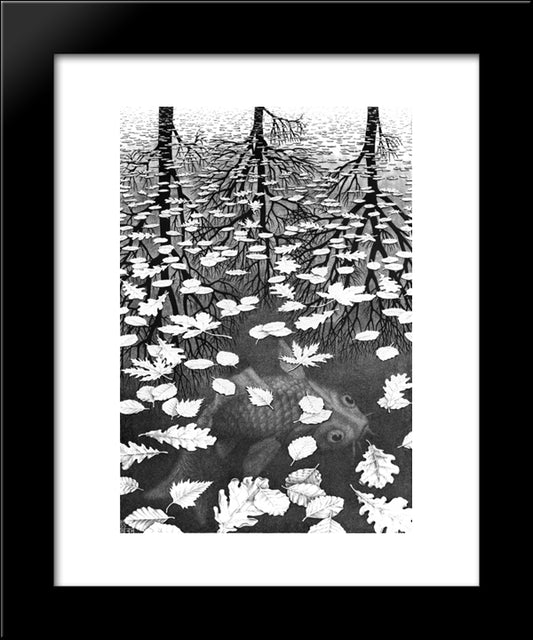 Three Worlds 20x24 Black Modern Wood Framed Art Print Poster by Escher, M.C.