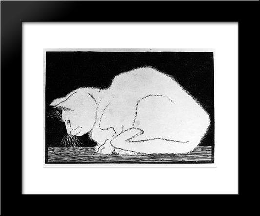 White Cat Ii 20x24 Black Modern Wood Framed Art Print Poster by Escher, M.C.