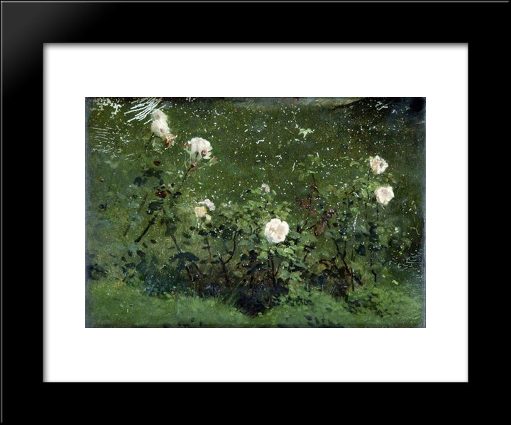 Roses 20x24 Black Modern Wood Framed Art Print Poster by Stone, Marcus