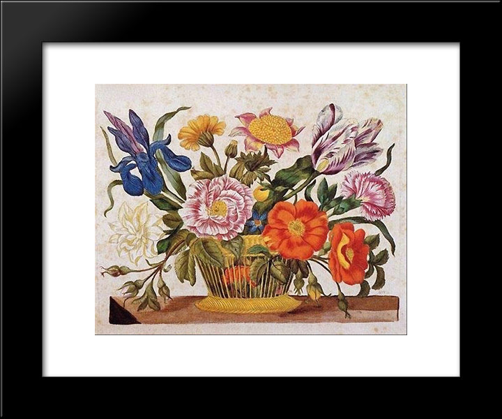 From Der Raupen Wunderbare Verwandlung Und Sonderbare Blumennahrung, Plate Clxix 20x24 Black Modern Wood Framed Art Print Poster by Merian, Maria Sibylla