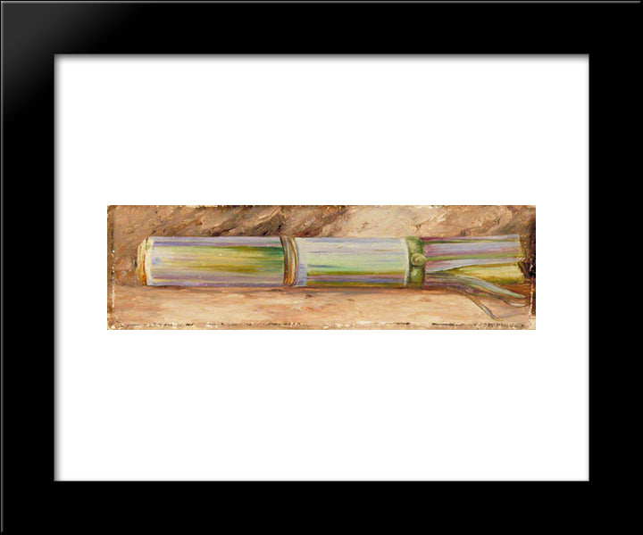 A Piece Of Sugar Cane 20x24 Black Modern Wood Framed Art Print Poster by North, Marianne