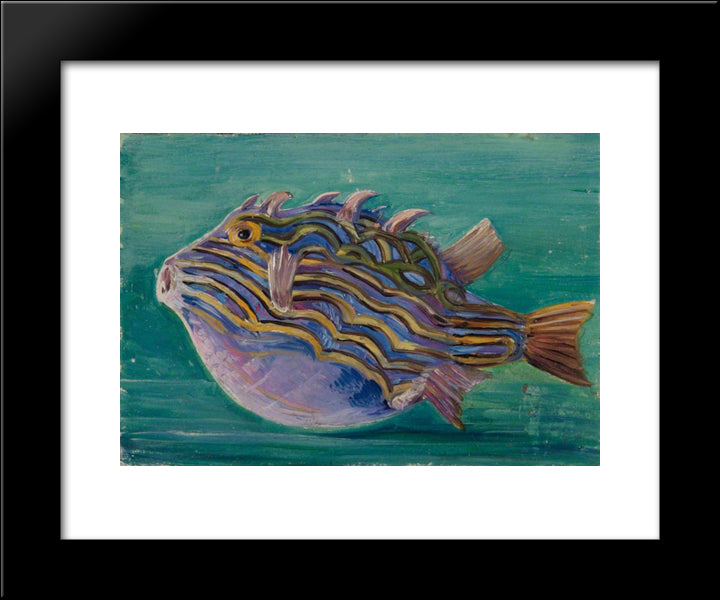 Exotic Fish 20x24 Black Modern Wood Framed Art Print Poster by North, Marianne