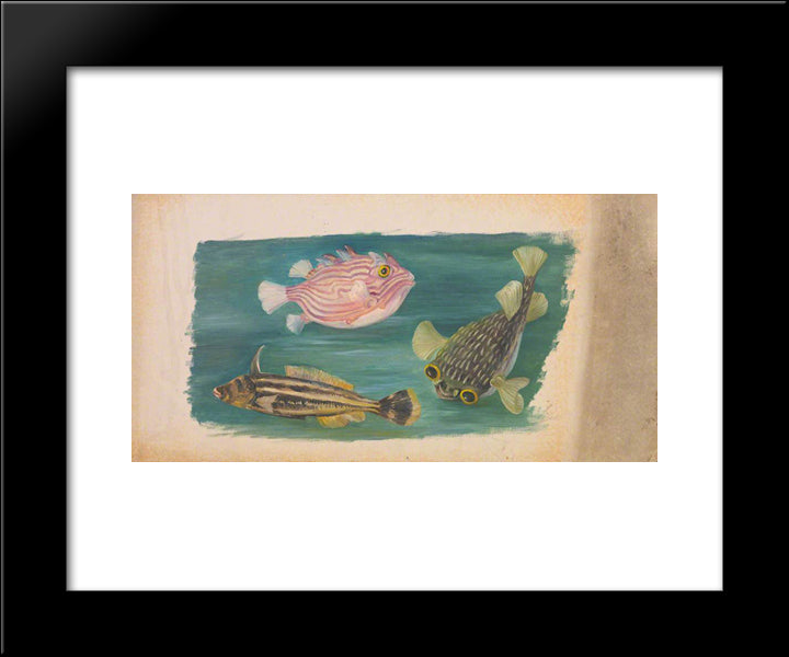 Fishes 20x24 Black Modern Wood Framed Art Print Poster by North, Marianne