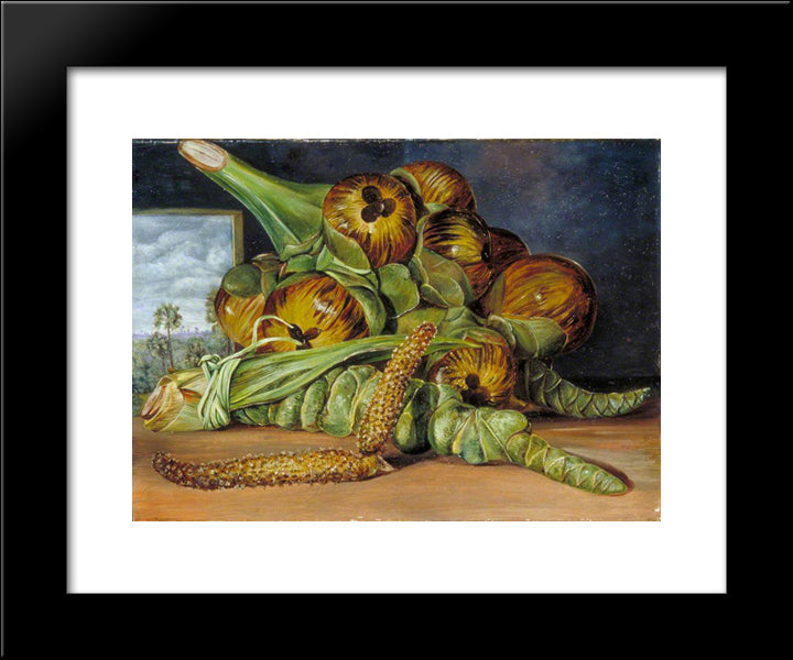 Flowers And Fruit Of The Palmyra, And The Palm Seen Through A Window, Java 20x24 Black Modern Wood Framed Art Print Poster by North, Marianne