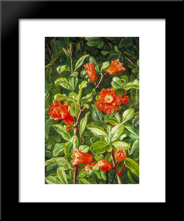 Flowers Of The Pomegranate, Painted In Teneriffe 20x24 Black Modern Wood Framed Art Print Poster by North, Marianne